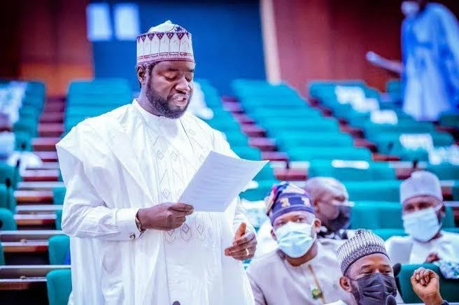 BREAKING: Reps Order IG to Produce Alleged Fake PFIPC DG Adeyemi Within 48 Hours
