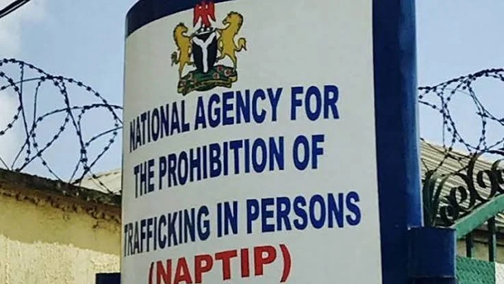NAPTIP Raises Alarm Over CSOs Being Used as Fronts for Human Trafficking